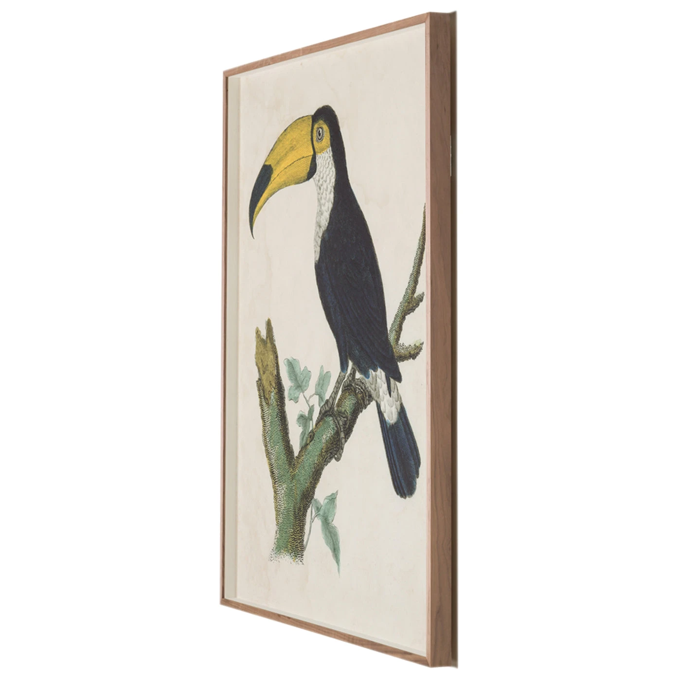 barraband_toucan_1_a.jpg Jonathan Adler Barraband Toucans 1
