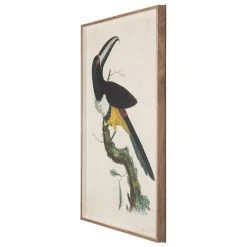 Jonathan Adler Barraband Toucans 2 Print