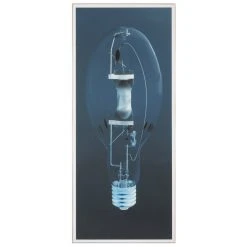 Jonathan Adler Become Enlightened 1 Print