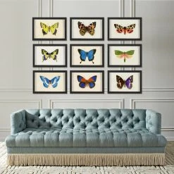 Jonathan Adler Hubbard Butterfly, Small: 181 Print