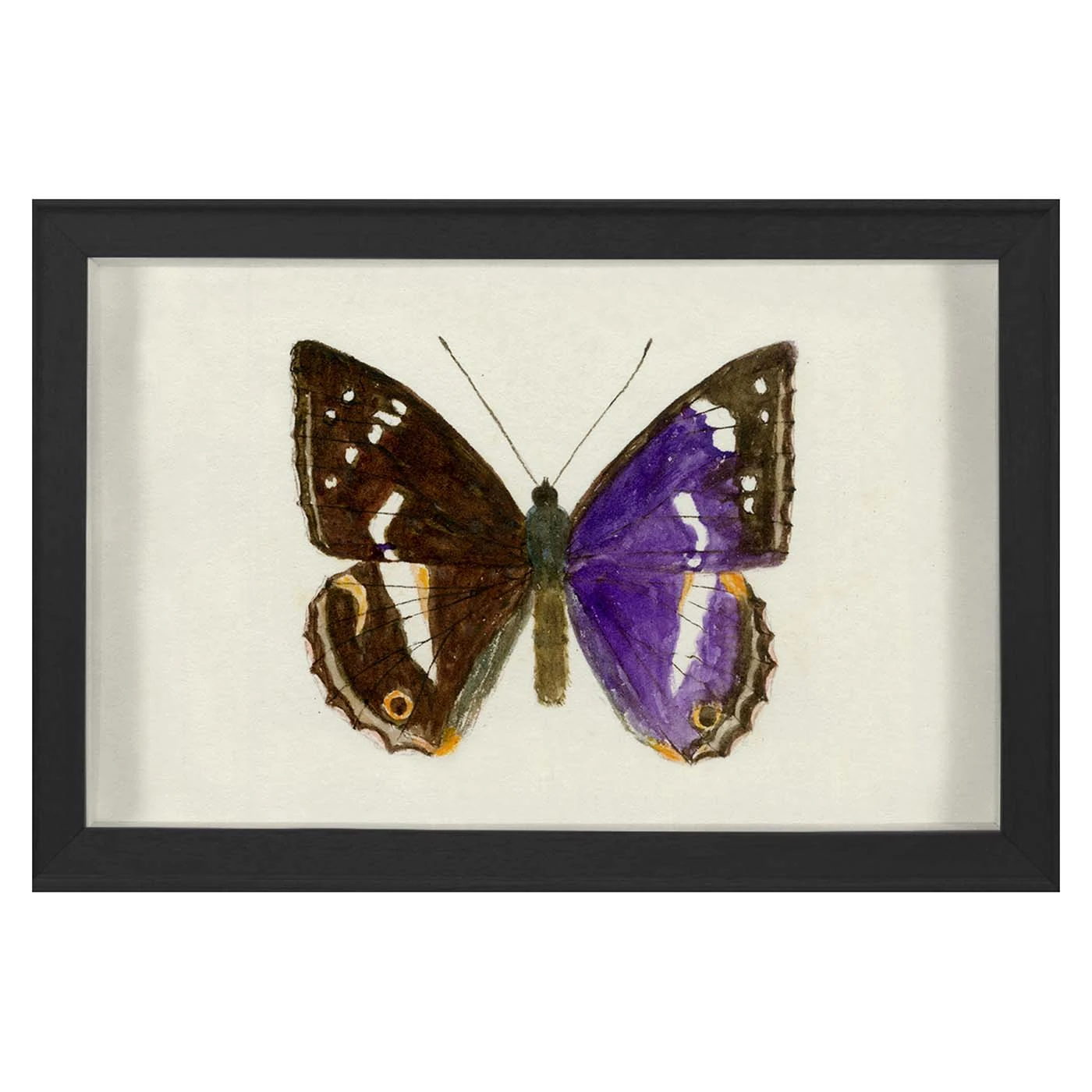 hubbard_butterfly_1160_9a95a6ba-b5ff-4933-8687-8fdb7e1dc8ac.jpg Jonathan Adler Print Hubbard Butterfly, Small: 1160