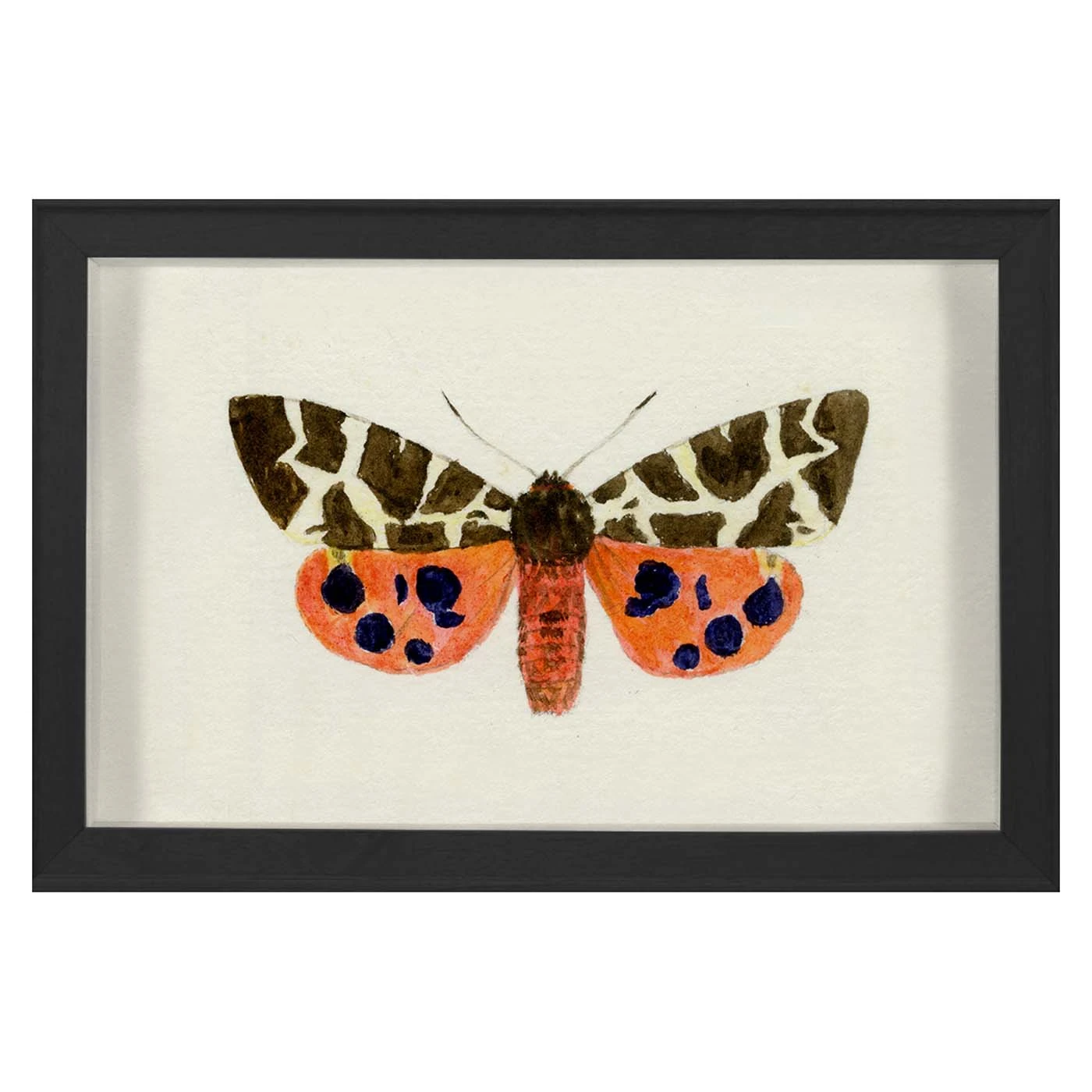 hubbard_butterfly_1420_27a2f4b4-2105-4b46-b59c-36d912cd46ad.jpg Jonathan Adler Hubbard Butterfly, Small: 1420 Print