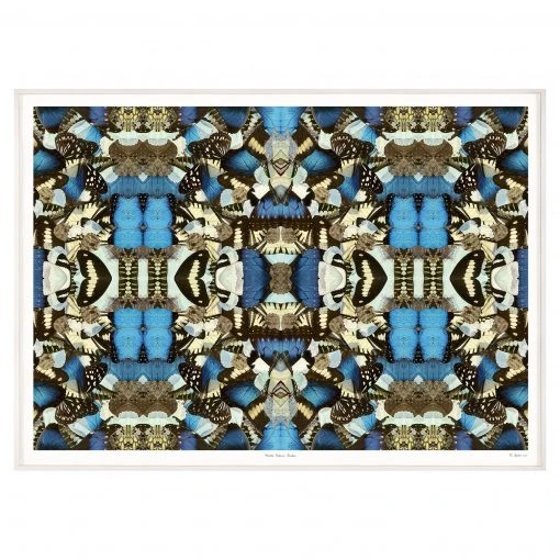 Jonathan Adler Morpho Emperor Peleides Print