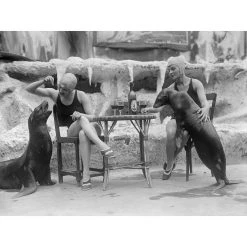 Jonathan Adler Photography "Animal Friends" From Getty Images