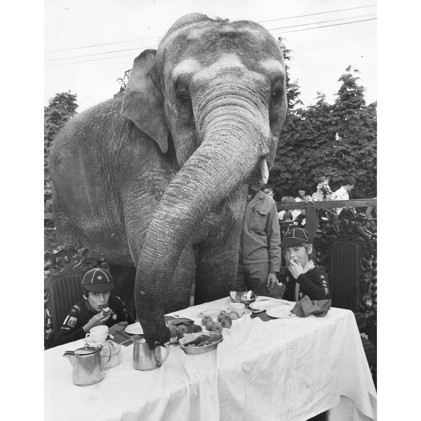 web_ja_finds_animals_elephant_for_tea.jpg Jonathan Adler "Elephant For Tea" From Getty Images Photography