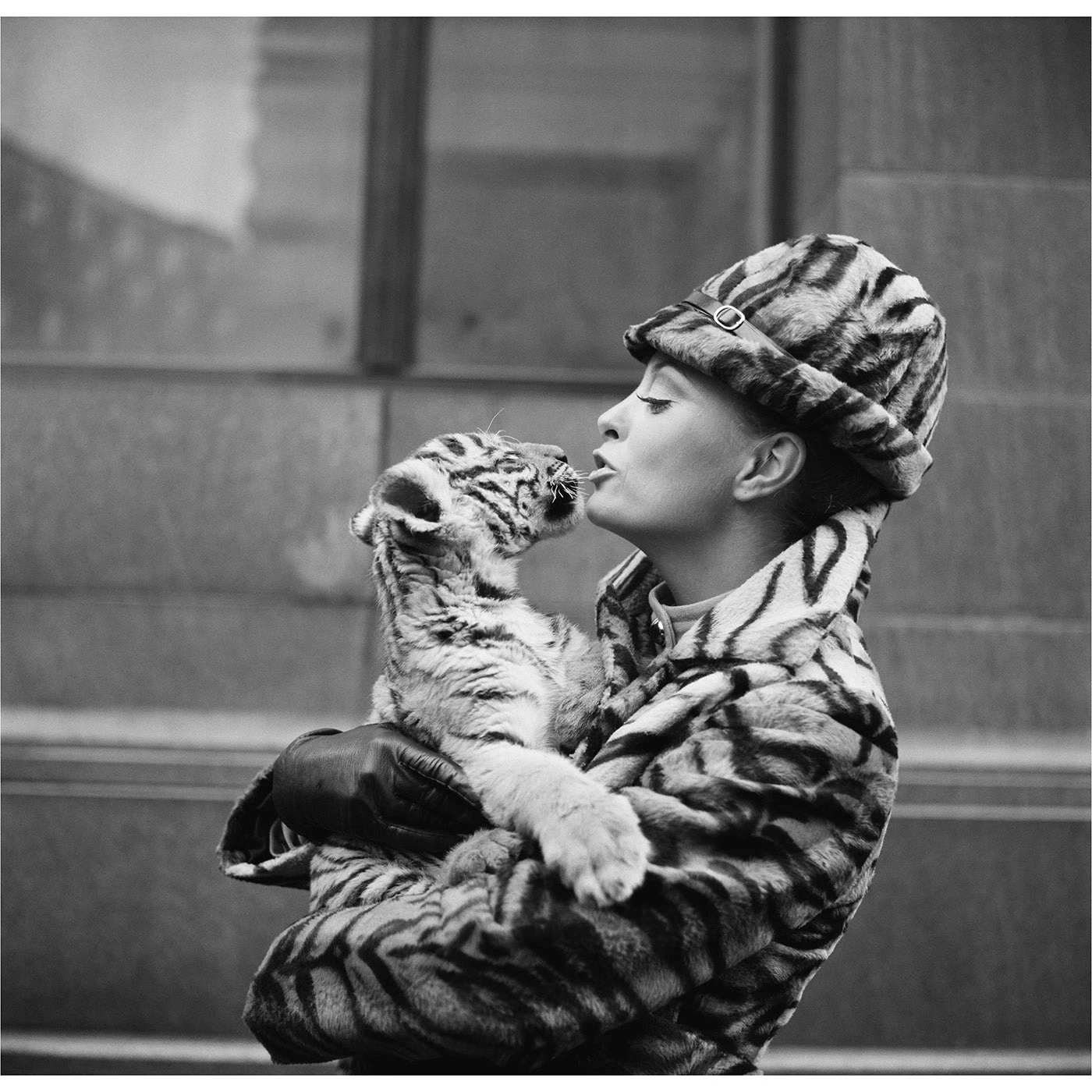 web_ja_finds_animals_tiger_lady.jpg Jonathan Adler "Tiger Lady" From Getty Images Photography