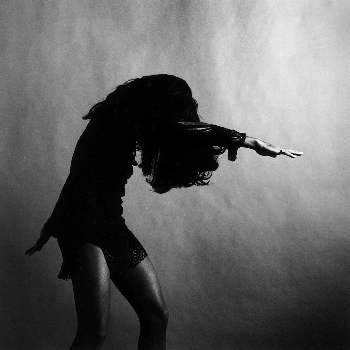 web_ja_finds_celebrity_tinaturner_head_down_arms_out_fedd9d12-2dd6-4181-8ea1-258864b21496.jpg Jonathan Adler Photography "Tina Turner, Head Down Arms Out" From Getty Images