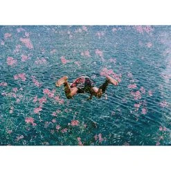 Jonathan Adler "Diving Into Pink Flowers" From Getty Images Photography